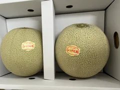 産地直送！訳あり赤肉レッドメロン4Lサイズ！北海道東北各県沖縄発送不可のサムネイル