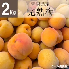 【青森県産】完熟梅 2kg 訳あり 無選別 クール便 梅干し 梅シロップ 梅ジャム 梅酒に！のサムネイル