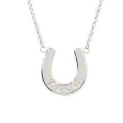 新品同様 TIFFANY&Co. ティファニー 新品仕上げ済 ホースシュー ネックレス アクセサリー SV925 シルバー メンズ レディース 古着 中古 USEDのサムネイル