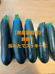新鮮ズッキーニ5本 (約808g) 農家直送のサムネイル