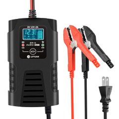 リョクエン（LVYUAN）【正規品】 全自動パルスバッテリー充電器 定格