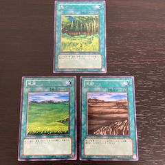 kw9 14 ゼンディカーの代弁者、ニッサ NissaVoice of Zendikar Foil