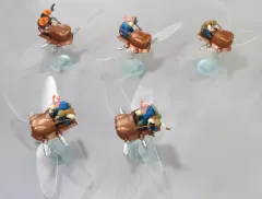 【中古】トレーディングフィギュア 全5種セット 「天空の城ラピュタ フラップターがいっぱいコレクション」のサムネイル