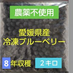 3kg＋サービス 岩手県産 無農薬 冷凍ブルーベリー - メルカリ