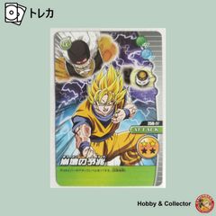 孫 悟空 155-I ドラゴンボールZ データカードダス ( #8000 ) - メルカリ