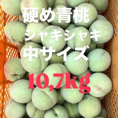 売りつくし 梅 正品 10キロ なおキングの梅 青梅 - メルカリ