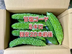 冷蔵便【鹿児島産】【農家直送】甘塩ゴーヤ箱込み5キロ^_^のサムネイル