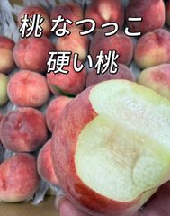 マツモト商店『年中無休』 - メルカリShops