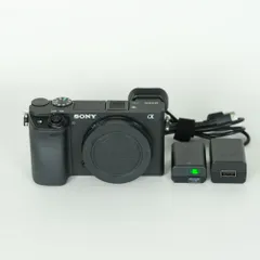 2026年最新】sonyα6400の人気アイテム - メルカリ