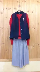 * おしゃれなプリーツ ベスト (新品)のサムネイル