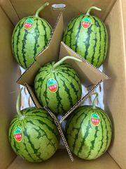 鮮度抜群。鳥取県産 姫 甘泉小玉スイカ1箱 約10kg。4〜5玉。 - メルカリ