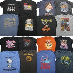 古着卸 まとめ売り キャラクター Tシャツ 16枚セット ( メンズ 2XL