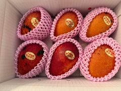 沖縄県産 摘果マンゴー 箱込10キロ 冷蔵発送 - メルカリ
