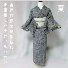 夏着物 正絹 フルセット 5点 小紋 夏帯 四季対応小物 七宝焼帯留