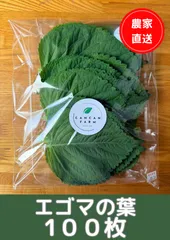 🌿 【ハウス栽培】新鮮エゴマの葉 100枚｜大容量・農家直送・業務用にものサムネイル
