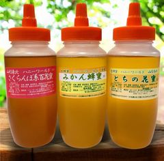 マーガレット様専用です(*^^*)アカシア蜜10本 - メルカリ