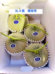庄内砂丘アンデスメロン 4L 3個 贈答用 - メルカリ