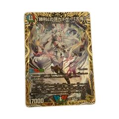 zinn,volnia abbess csr grand archive - メルカリ