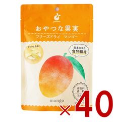 ヤマサン おやつな果実 マンゴー ドライマンゴー ドライフルーツ 完熟 お菓子 おやつ スイーツ 果物 ヨーグルト トッピング ギフト プレゼント 40個