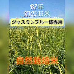 R7年産】朝日米10kg 玄米 自然栽培米（益城産）- メルカリ