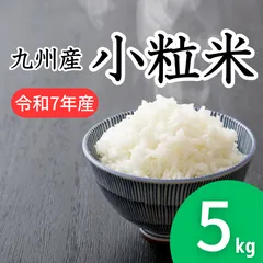 小粒米5kg 《令和7年産》九州産 雑炊 米粉 パンお菓子作り コスパ米 お買い得 お米 九州産 安い 訳あり 精米 白米 くず米 色彩選別 ブレンド米《送料無料※一部地域除く》のサムネイル