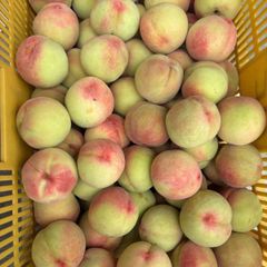 1:摘果桃 12kg - メルカリ
