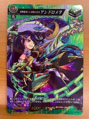 状態B 英雄を慕いし決意の王女 アンドロメダ MSR D-TB06/MSR31 ヴァン