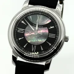 TIFFANY&Co. ティファニー WATER RESIST 50m  T10026820 ブラック QZ メンズ 腕時計 稼働品のサムネイル