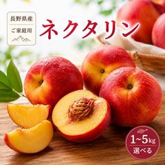 ネクタリン秀峰16玉②5kg箱クール便 - メルカリ
