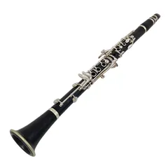 BUFFET Crampon R13 NP クラリネット ハードケース付 木管楽器 ジャンク K11449132のサムネイル