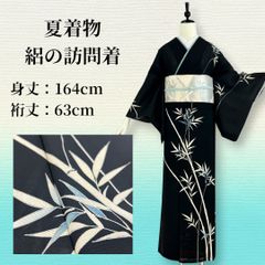 新古品！美品＊絹絽＊黒＊金彩＊手描き＊幻想的＊夏物＊訪問着