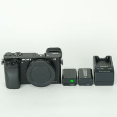 美品 SONY α6400 本体 ケージ バッテリーセット シャッター5876回