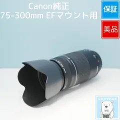 Canon純正 75-300mm EFマウント用 望遠レンズ 美品 a6655のサムネイル