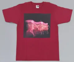 2026年最新】スピッツジャケットTシャツの人気アイテム - メルカリ