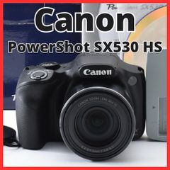 G15[8270]9 Mint Condition Canon PowerShot SX530 HS PC2157