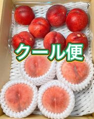 桃(日川)秀品 特大5個 大玉6個60サイズ箱入り - メルカリ