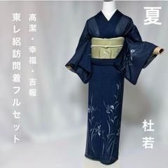 夏着物 絽 江戸小紋 鮫小紋 フルセット 東レ 洗える 夏帯 夏帯締め 夏