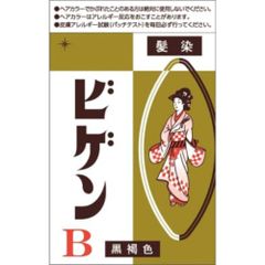 ホーユー ビゲン B 6g