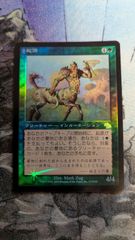mtg 自然の秩序 foil ジャッジ褒賞 - メルカリ