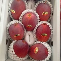 沖縄産 完熟マンゴー 8玉入り 2KG - メルカリ