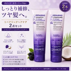 ◇825【新品／並行輸入品】★1セット販売★giovanni ジョヴァンニ ジョバンニ 2chic ダメージ シャンプー＆コンディショナー 250mL＋250mL ダメージケア ノンシリコン 1本ずつ ココナッツミルク ブラックベリーのサムネイル