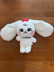 新品 IVE♡ウォニョン minive キャラクターハグバッグ HUG BAG - メルカリ