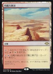 MTG《死者の原野/Field of the Dead》日本語 1枚 - メルカリ