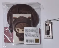 2026年最新】exo チャニョル ぬいぐるみの人気アイテム - メルカリ