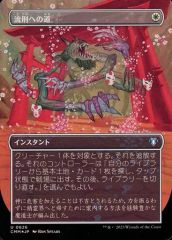 護民官ギルドの魔道士/Civic Guildmage MGT 英語 - メルカリ