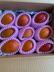 訳あり】宮崎完熟マンゴー 12玉 約4.2kg - メルカリ