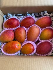 宮崎完熟マンゴー 特大訳あり6玉 約3.3kg 冷蔵発送 - メルカリ