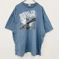 DELTA PRO WEIGHT　半袖プリントTシャツ　水色　ライトブルー　3XLサイズ　古着【値引き交渉OK！】のサムネイル