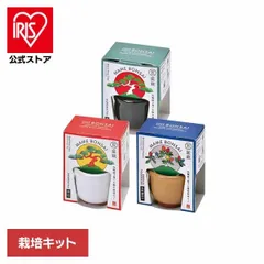 【公式】栽培キット 盆栽 聖新陶芸 豆盆栽 SEISHIN 陶器 HACO MAME 盆栽栽培セット BONSAI GD-96501 GD-96502 GD-96504のサムネイル