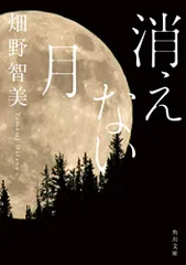 2026年最新】秋元康 こんなに美しい月の夜を君は知らないの人気